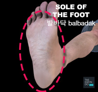 Sole of the Foot ( 발바닥 balbadak )