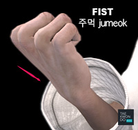 Fist ( 주먹 jumeok )