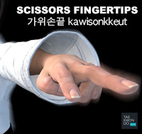 Scissors Fingertips ( 가위손끝 kawisonkkeut )