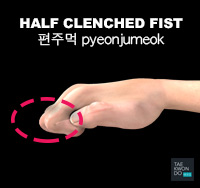 Half-clenched Fist ( 편주먹 pyeonjumeok )