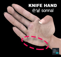 Knife Hand ( 손날 sonnal )