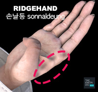 Ridgehand ( 손날등 sonnal-deung )