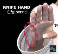 Knifehand ( 손날 sonnal )