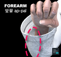 Forearm ( 앞팔 ap-pal )