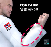 Forearm ( 앞팔 ap-pal )