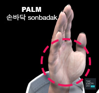 Palm ( 손바닥 sonbadak )