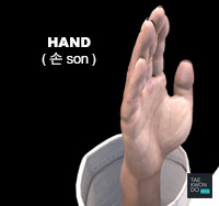 Hand ( 손 son )