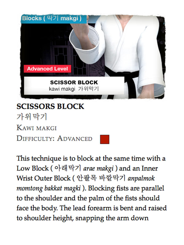 Taekwondo Blocks ( 막기 makgi ) Book