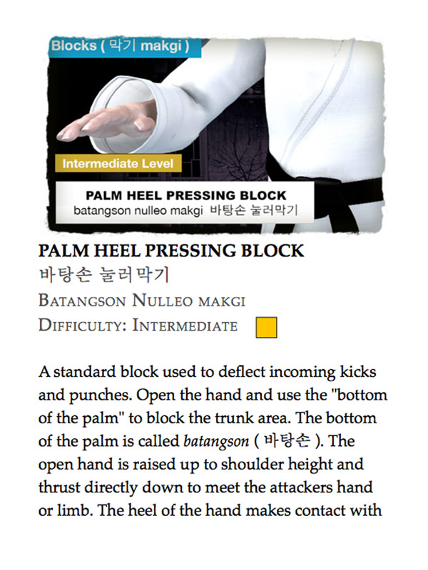 Taekwondo Blocks ( 막기 makgi )