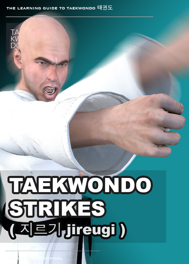 Taekwondo Strikes ( 지르기 jireugi ) Apple Books