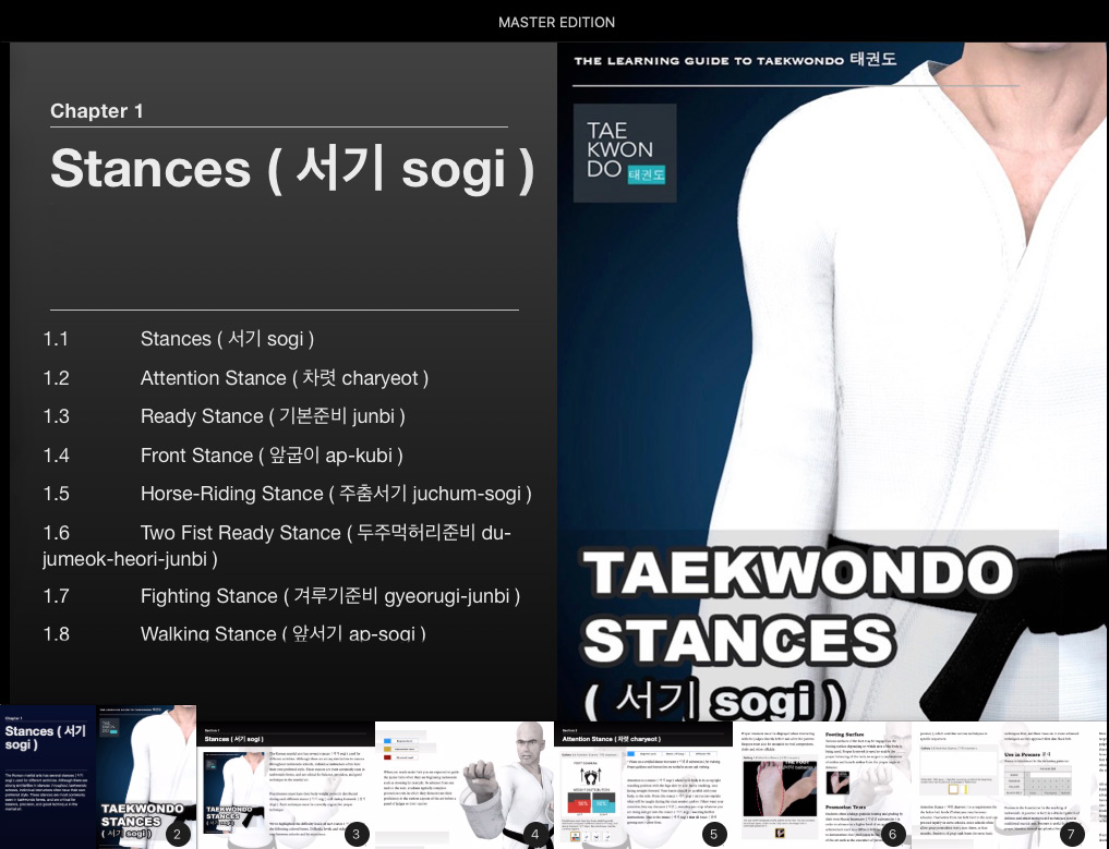 Taekwondo Stances ( 서기 sogi ) Menu Page from Taekwondo Preschool Master Edition Apple Books