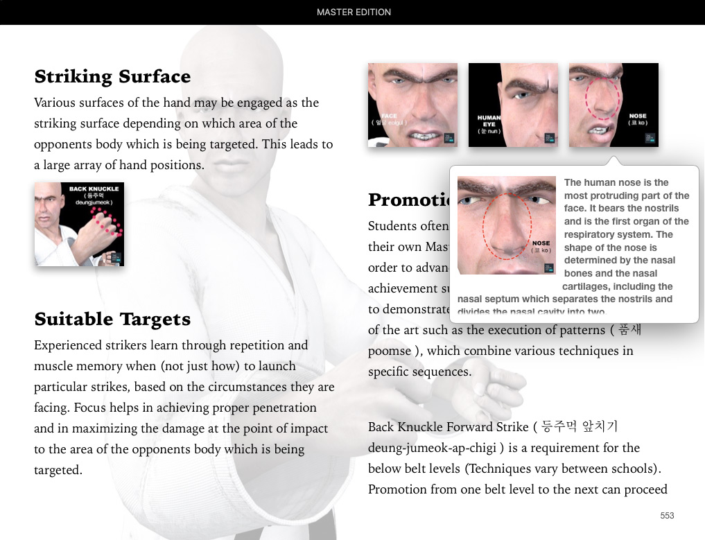 Sample page from Back Knuckle Forward Strike ( 등주먹 앞치기 deung-jumeok-ap-chigi ) | Taekwondo Preschool Master Edition Apple Books