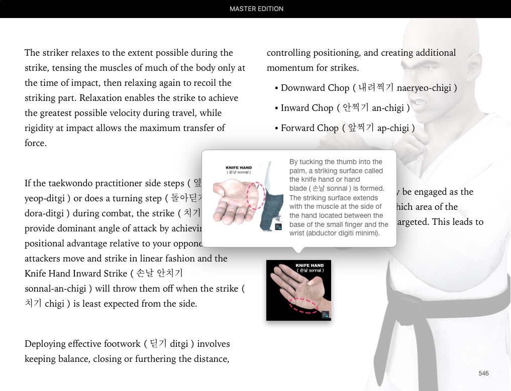 Sample page from Knife Hand Inward Strike ( 손날 안치기 sonnal-an-chigi ) | Taekwondo Preschool Master Edition Apple Books