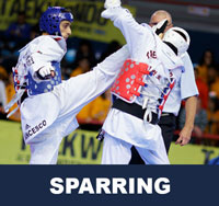 Taekwondo Championship Tournaments