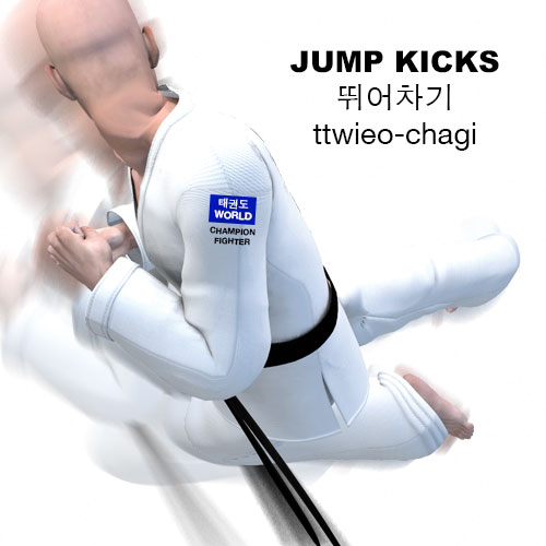 Jump Kick ( 뛰어차기 ttwieo chagi )