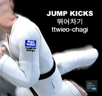 Jump Kicks ( 뛰어차기 ttwieo-chagi )