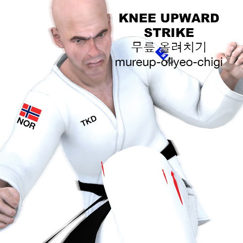 Knee Upward Strike ( 무릎 올려치기 mureup-ollyeo-chigi )