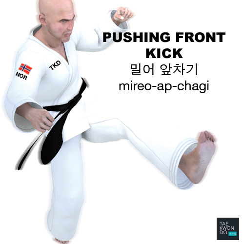 Pushing Front Kick ( 밀어 앞차기 mireo-ap-chagi )