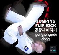 Jumping Flip Kick ( 공중제비차기 gongjungjebi-chagi )