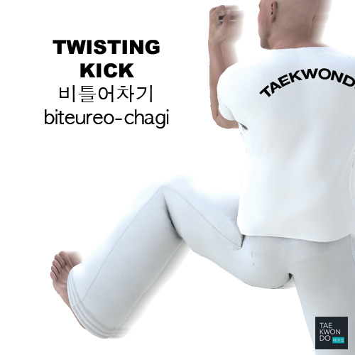 Twisting Kick ( 비틀어차기 biteureo-chagi )