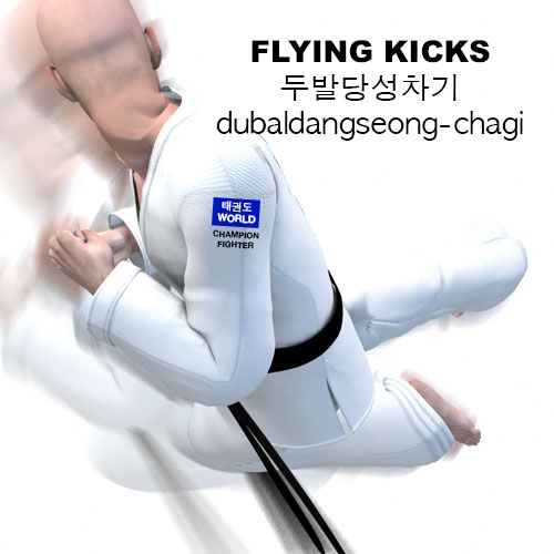 Flying Kicks ( 두발당성차기 dubaldangseong-chagi )