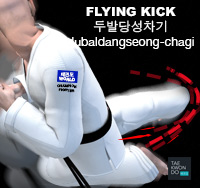 Flying Kick ( 두발당성차기 dubaldangseong-chagi )