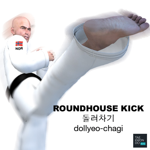 Roundhouse Kick ( 돌려차기 dollyeo-chagi )