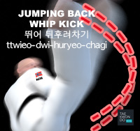 Jumping Back Whip Kick ( 뛰어 뒤후려차기 ttwieo-dwi-huryeo-chagi )