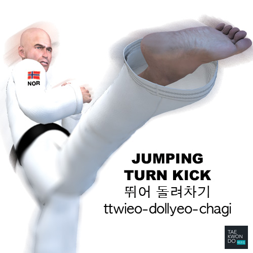 Jumping Turn Kick ( 뛰어 돌려차기 ttwieo-dollyeo-chagi )