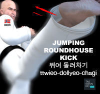 Jumping Turn Kick ( 뛰어 돌려차기 ttwieo-dollyeo-chagi )