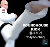 Roundhouse Kick ( 돌려차기 dollyeo-chagi )