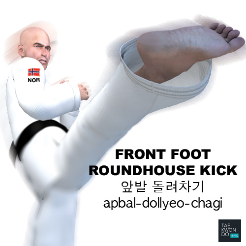 Front Foot Roundhouse Kick ( 앞발 돌려차기 apbal-dollyeo-chagi )