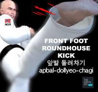 Front Foot Roundhouse Kick ( 앞발 돌려차기 apbal-dollyeo-chagi )