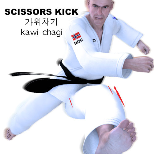 Scissors Kick ( 가위차기 kawi-chagi )