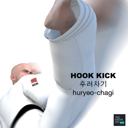 Hook Kick ( 후려차기 huryeo-chagi )