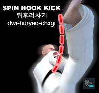 Spin Hook Kick ( 뒤후려차기 dwi-huryeo-chagi )