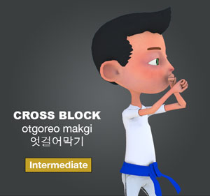 High Cross Block ( 엇걸어막기 olgul otgoreo makgi )