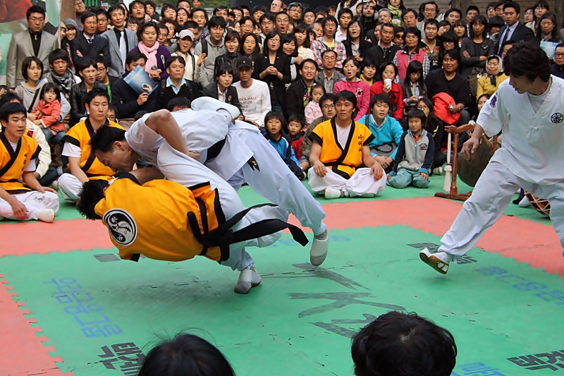 Taekkyeon Tae-Jil