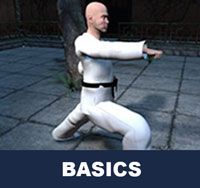 About Taekwondo Basics