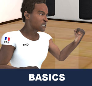 About Taekwondo Basics