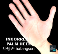 Taekwondo Common Mistakes Not striking with the palm heel