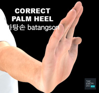 Taekwondo Common Mistakes Not striking with the palm heel