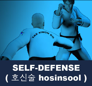 Taekwondo Self-Defense ( 호신술 hosinsool )