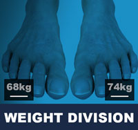 Taekwondo Weight Classes/Divisions