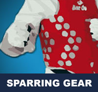 Taekwondo Tournament Sparring Gear