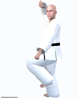 Crane Stance ( 학다리서기 hakdari sogi )