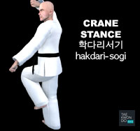 Crane Stance ( 학다리서기 hakdari-sogi )