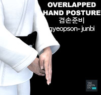 Overlapped Hand Posture ( 겹손준비 gyeopson-junbi )