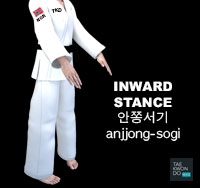 Inward Stance ( 안쫑서기 anjjong-sogi )