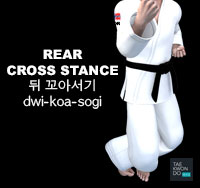 Rear Cross Stance ( 뒤 꼬아서기 dwi-koa-sogi )